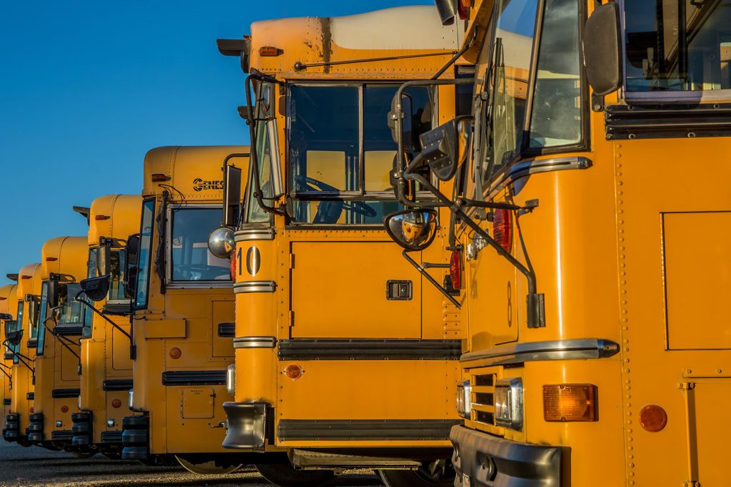 School buses in a row