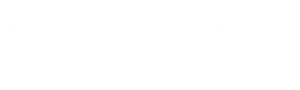 Driver Ed Safety Logo - White - Tagline