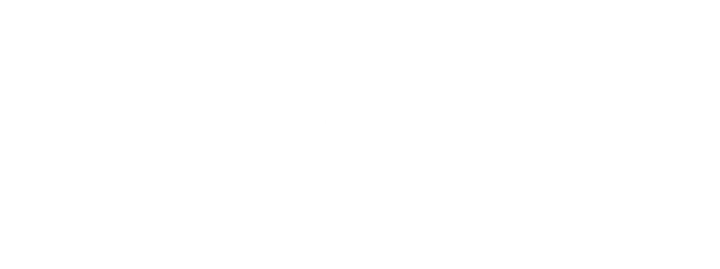 Executive Mentoring Program Logo - White - Tagline